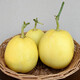 Zhongke Maohua Melon Fruit Seeds Maohua Sweet Fei Sweet Melon Seeds Northeastern Hybrid Jin Fei Cantaloupe Oval Sugar Contains 16-18 Degrees Yellow Crisp Pears 500 capsules/bag Yellow skin crack-resistant type