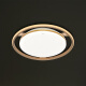 Bull Bull X38 Gold List Titled Series Three-stage Dimming Bedroom Light (42W) Standard