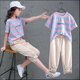 
Aino Round Girls Sports Set Medium-Grand Children's Summer Children's Short Sleeve Sweater Thin Casual Pants Two-Piece Clothes Blue Room Pink 160 Recommended height about 145-155CM
