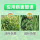 Corteva make it long cloflupyr broadleaf weed hollow lotus seed herbicide pesticide herbicide 10ml