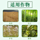Shengbang Greenfield 75% metosulfuron railway wasteland non-arable land weed herbicide shrub bamboo herbicide root rot