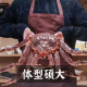海泽鲜 帝王蟹礼盒生鲜大礼包 波士顿龙虾高档海鲜礼盒 重约8-9斤（帝王蟹礼盒1098款）