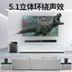 山水（SANSUI）DV-95E回音壁电视音响 杜比5.1声道全景声家庭影院 家庭KTV套装智能蓝牙家用K歌卡拉OK 带麦克风