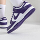 耐克（NIKE）男鞋2025春季新款运动鞋Duck Low舒适时尚复古休闲鞋轻便低帮板鞋 DD1391-104 41