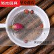 OUMANRUOLI 100 Filterfilter -Filtertee, Tee, Tee, Heilmedizin, chinesische Medizin, Filter, Colander, Holzgriff, reine Baumwolle, 1.000 Sprinklerstücke