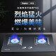 Yingqi (Yingqi) Estufa de gas natural Doble estufa Hot Stove Hot Glass Doble Stove Dos Jz (Y/T) 695G82