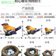 Phoebe gardening micro-landscape ornaments bird resin crafts cute simulation bird's nest gardening bonsai decorative bird eggs medium green bird