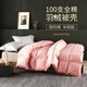 2022新款羽绒被壳皮自充绒加工羽绒被半成品高密防钻绒纯棉被套内胆芯面料 百合蓝色- 200X230cm