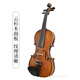 
FineLegend (FineLegend) Violin Professional Performance Level Children Adult Beginner Practice Grade Exam Performance L6 1/4