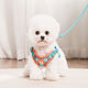 Vest type dog leash medium small dog Teddy Bichon Pomeranian harness puppy dog walking rope dog chain orange + 1.5 meter flat rope M (recommended 6-13 Jin Jin equals 0.5 kg)