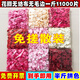 Chenbu artificial rose petals arrangement, wedding fake flower decoration, proposal, birthday confession, stage props, wedding hand-spreading flowers, no rubbing, burgundy, 1Jin Jin is equal to 0.5kg, about 8000 pieces