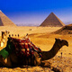 Cairo, Egypt, 8-day and 5-night group tour + national combined transportation + Giza Pyramids + Red Sea + Nile River dinghy + Exploring Ancient Egypt + Ancient City of Memphis + Ancient Museum Deposit February 2