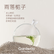 Fukumaru white tea flavored tofu bentonite mixed cat litter releases fragrance when exposed to water, clumps tightly and can be flushed into the toilet, gardenia mixed litter 2kg*3 [daily size]