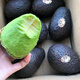 Beijing Orange Meijin Mexico imported fresh avocado fruit seasonal avocado fruit baby healthy and light food 8 medium fruits [100-130g single fruit]