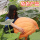 Vegetable Friends Big Pumpkin Seeds Giant Ornamental Edible High-yielding and Disease-Resistant Four-Season Sowing Pumpkin Seeds Vegetable Seeds 15 Giant Pumpkins