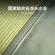 海绵草双人枕套夏季天然可水洗1.8米1.5m1.2枕巾防滑枕芯 双人枕 12048cm