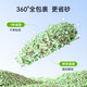 Nervous Cat (shenjingmao) Enzyme Cat Litter Green Tea Baking Soda Granules Deodorizing Clumping Bentonite Cat Litter 20 Jin Jin equals 0.5 kg Mineral Sand Low Dust Tofu Cat Litter 5 Jin Jin equals 0.5 kg *Silver Ion Tea Fragrance Mixed Cat Litter