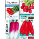 Various four-season balcony field potted vegetable seeds, leafy vegetables, mustard, cabbage, radish seeds, autumn and winter, pink (cherry cherry tomatoes), about 50 seeds