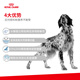Royal Canin Dog Skin Prescription Food Adult Dog Hypoallergenic Prescription Food 2kg Hypoallergenic Dog Main Food Skin Sensitive Main Food DR21 Adult Dog Hypoallergenic Prescription Food 2kg