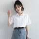 Sheng Saixi 2023 velvet thickened spring, autumn and winter Korean style women's bottoming business attire long-sleeved shirt female student uniform shirt white velvet L recommendation 105Jin Jin equals 0.5kg -115Jin Jin equals 0.5kg