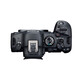 Canon EOS R6 Mark II R6 second generation R62 full-frame microcamera R6 II RF50mm F1.8 STM standard