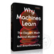 现货 为何机器能学习？现代人工智能背后的优雅数学 Why Machines Learn: The Elegant Math Behind Modern AI