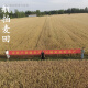 面粉无添加新国标1355-2021 家用中筋小麦自磨农家包子饺子馒头 新国标面粉5斤装