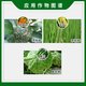 BASF Dry Shipping 30% Thiazole Zinc Cucumber Bacterial Angular Spot Disease Citrus Canker Fungicide Pesticide 100ml