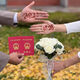La novia del Dragon Boat Festival de Magic House sostiene flores y obtiene propuestas de bodas y obtiene un certificado de matrimonio y tiene flores y toma fotos y accesorios. Bouquet simulado de color de champán contiene flores [producto terminado]