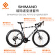 Glad GIRDER BISON 105 full carbon fiber ultra-light road bike R7170 electric 24-speed disc brake bicycle hand-painted blue orange electronic speed change 24-speed M [recommended 168-178cm span height 77-81cm]
