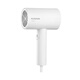 Secador de pelo de Flyco para hogares de alta potencia de 1800W secadora de velocidad silenciosa La temperatura constante de la temperatura que los estudiantes no se lastimarán el cabello. Estándar original FH6296 Aguacate Green