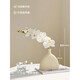 Flower e-flow Phalaenopsis artificial flower fake flower table decoration light luxury high-end flower arrangement dining table floral decoration home decoration 1 branch white + narrow mouth flat bottle