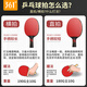 361 table tennis racket, pen-hold and horizontal shot, professional-grade high-end carbon base, single shot for competition training for primary and secondary school students, 9 stars, horizontal shot, single set, great style