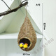 Bird's Nest Decorative Simulated Grass Woven Grass Nest Handmade Outdoor Bird House Outdoor Pendant Coconut Shell Bird's Nest Swallow's Nest (Large Size) Grass Bird's Nest + 2 Bird Heads