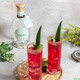 Canaima [Originalflasche importiert] Venezuela Amazon Rainforest Gin Wein 700 ml Canaima Regenwald Gin Wein 700 ml 1 Flasche