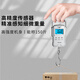 Qianque high-precision portable electronic scale small express delivery portable household hook hook spring luggage fish device silver battery model - battery with tape measure 75kg10g