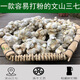 Panax notoginseng de Panax 40 têtes 60 têtes à Wenshan, Yunnan. Printemps. Tianqi Chinois Herbal Medicine Tianqi est facile à poudrer. Wenshan. Panax notoginseng de Panax lyophilisé 30 têtes 500 grammes.