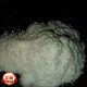 【官方大药房】北大荒 免疫球蛋白 牛初乳粉36% 北大荒垦造见荒北垦 牛初乳粉 免疫球蛋白26 免疫球蛋白26 12盒