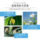 
Ryo Fragrance Lyukong Oil Fluffy Shampoo Long-lasting Fragrance Jeju Breeze Shampoo 580ml