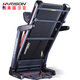 HARISONHARISON High-end smart treadmill Home silent folding gym Sports and fitness equipment T500TRACK (ECO)