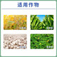 Syngenta Jinduerzhen metolachlor annual grass weed broadleaf weed herbicide pesticide 1L