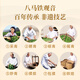 八马茶业乌龙茶金马罐 安溪铁观音清香型一级252g 罐装茶叶自己喝