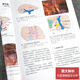 Puntos clave y puntos ciegos de cirugía biliar, 2ª edición, Dong Jiahong, Cirugía, People's Health Press, 9787117115919 15919