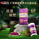 
Baiyunshan Hanfang Guangyao Brand Break Wall Ganoderma Lucidum Spore Powder Capsules 0.3g*60 capsules/box Nutritional health enhancement immunity 4 boxes 60 capsules
