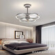 Er Jiangong Deckenlüfter Käfig 2023 Leichte Luxus-Schlafzimmer Wohnzimmer Esszimmer Lüfter Restaurant Elektrische Lüfter integriert Custom 9195 Black Absorbing Model + Drei-Farben-lichtveränderte Fernbedienung