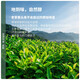 Chen Yifan gefrorener Oolong-Tee Strong Geschmack Taiwan High Mountain Tee Taiwanese Oolong Papierverpackung 300 g Geschenk zum Selbstverbrauch
