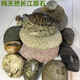Runhuanian turtle basking platform stone climbing platform flat pebble turtle tank floating island basking stone fish tank 1 piece 9-12cm