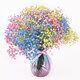 AIMAN Gypsophila Natural Dried Flower Bouquet Ins Internet Celebrity Birthday New House Decorative Ornaments Air-Dried Real Flower Arrangement Home Furnishings Pink Gypsophila Without Vase