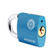 
Plum BlosSOM Padlock Copper core anti-rust lock Indoor and outdoor waterproof door lock Anti-theft household lock 38MM blue BC2938