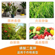 Guoguang Runer potassium dihydrogen phosphate potassium fertilizer flower fertilizer fruit tree potting fertilizer foliage fertilizer 1000g 1000g one bag